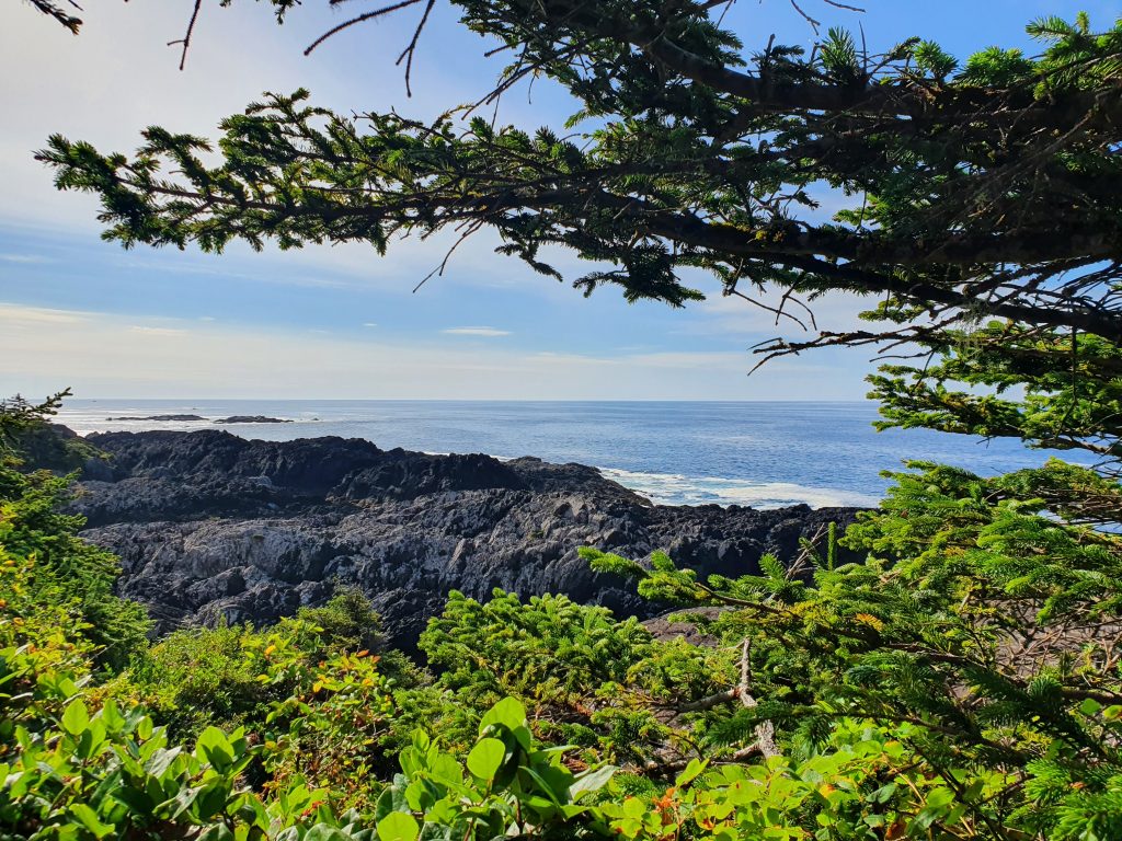 Wild Pacific Trail