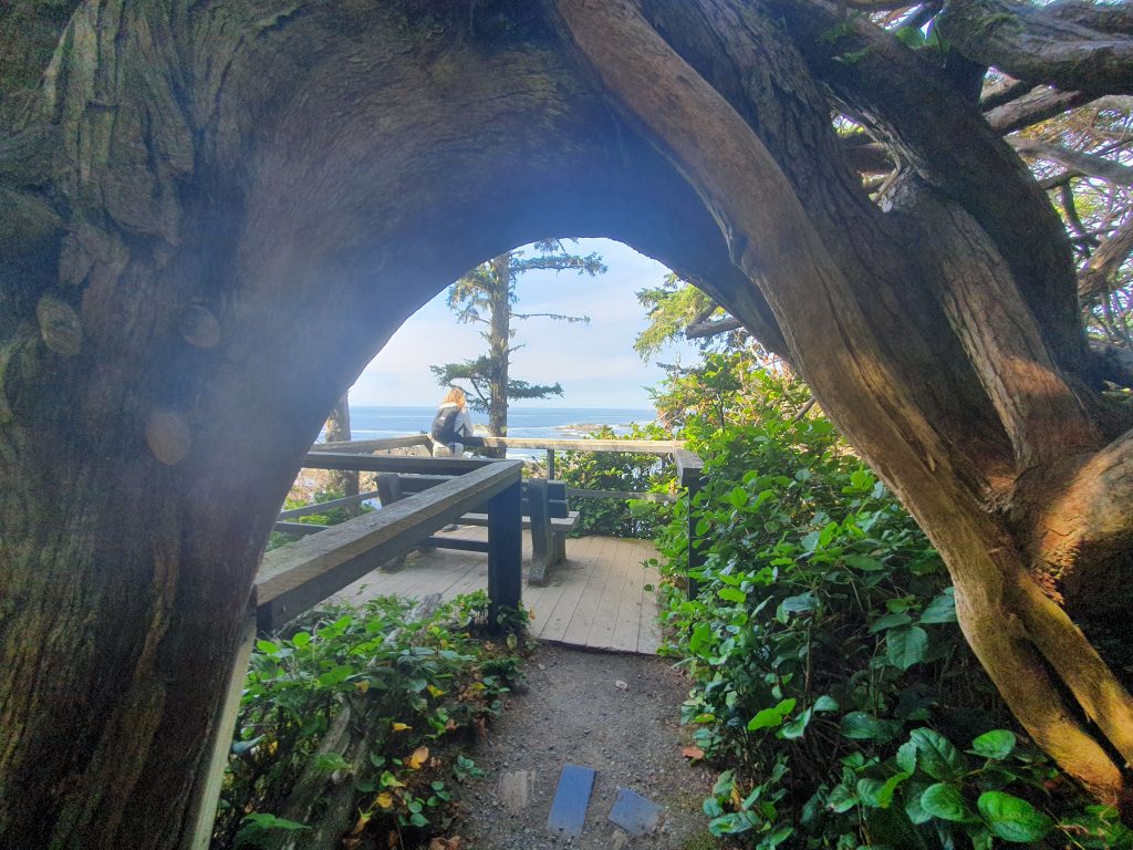 Wild Pacific Trail